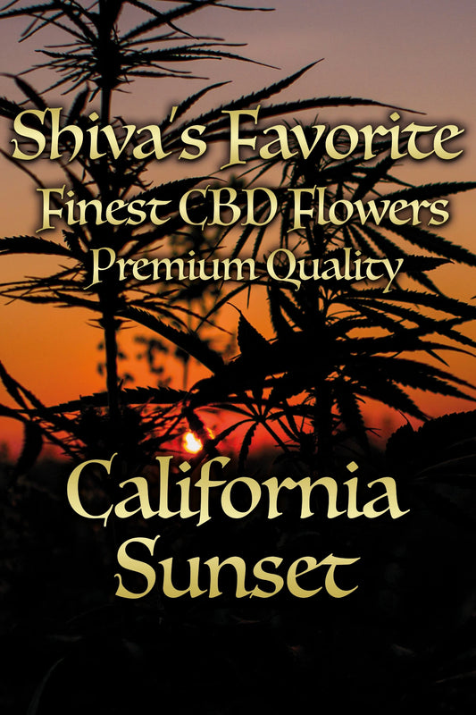California Sunset fruchtig, skunky, intensiv (Greenhouse)