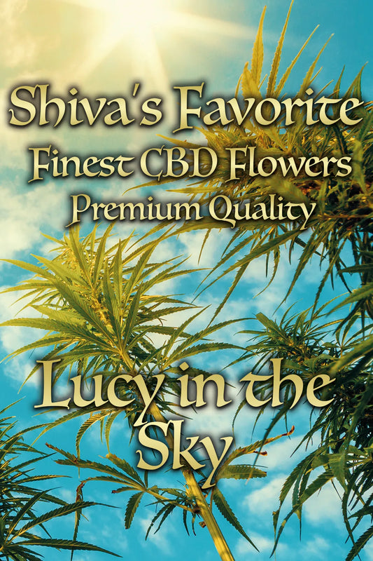 Lucy in the Sky süß, erdbeerig, aromatisch (Greenhouse)