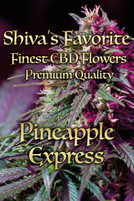 Pineapple Express fruchtig, tropisch, süß (Indoor)