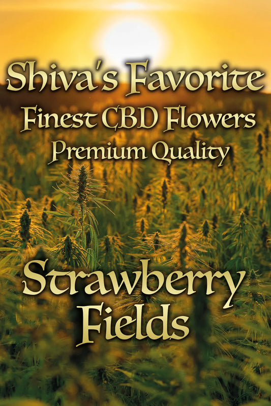 Strawberry Fields fruchtig, süß, aromatisch (Greenhouse)